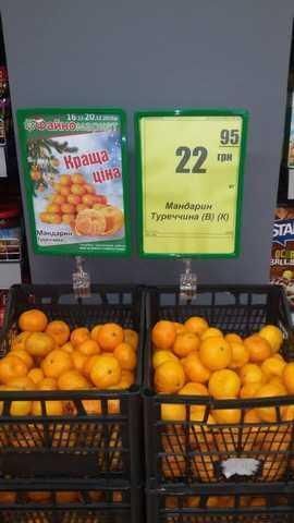 Універсальний Т-тримач на трубу з рамкою А4 формату, Рамка А4 з великою прищіпкою тримачем (1137) 2901137 фото